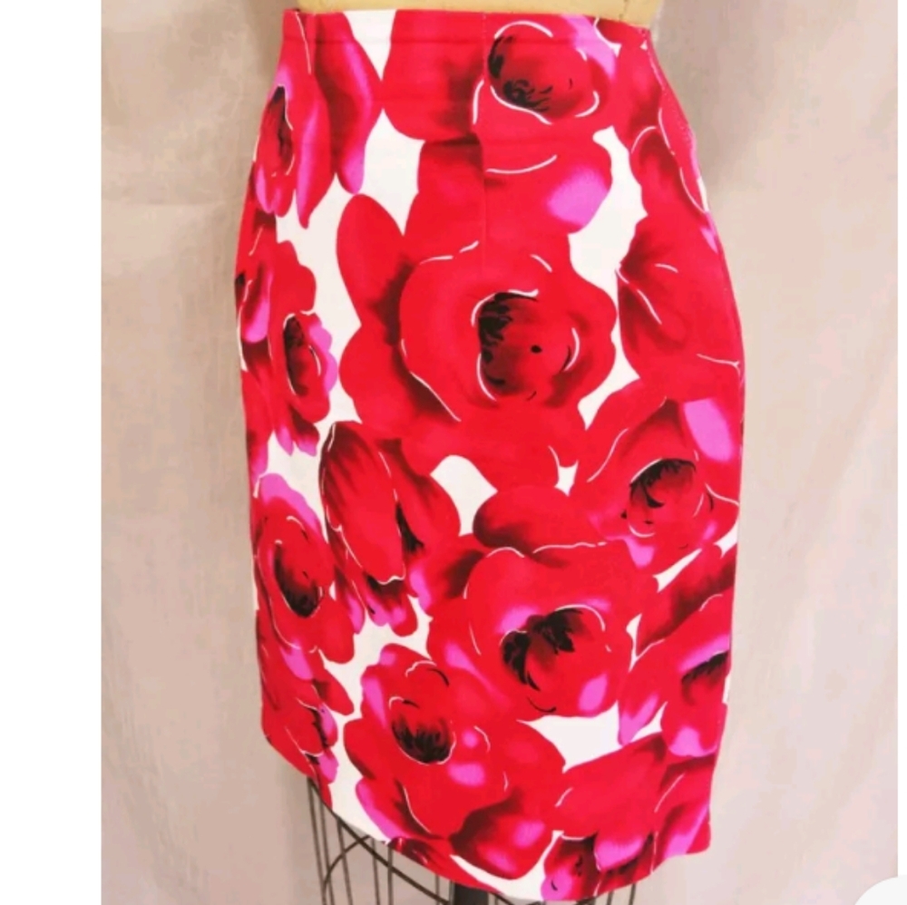 BRIGGS New York Skirt